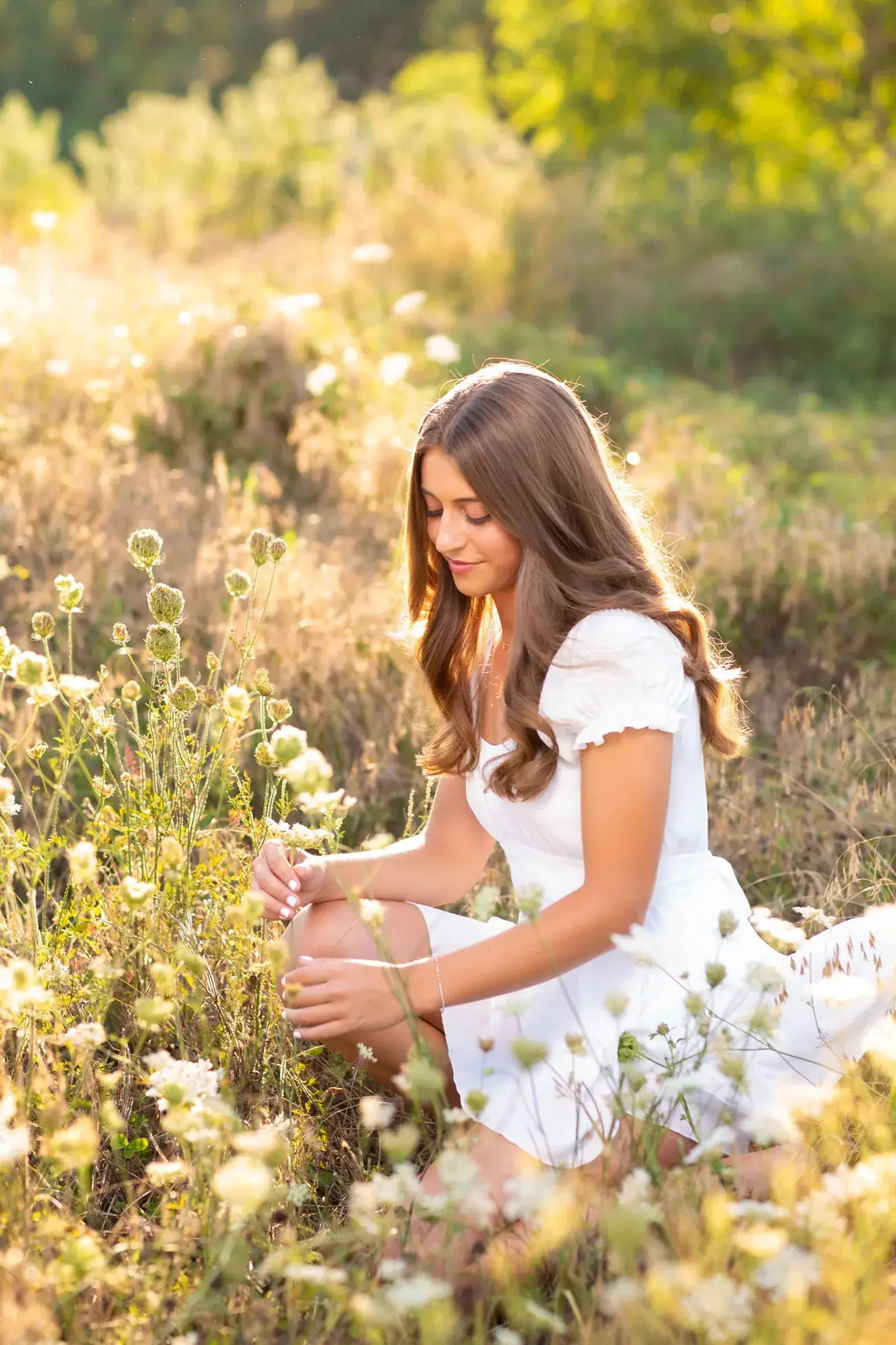 Senior portrait in a golden field